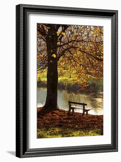 Belgium Bench in Park in Autumn by Beech Tree and Lake-null-Framed Photographic Print