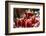 Belgium, Bruges. Gift shop, wrapped presents-Walter Bibikow-Framed Photographic Print