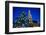 Belgium, Brussels. Grand Place, Holiday lights with a Christmas tree-Walter Bibikow-Framed Photographic Print