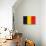 Belgium Flag Design with Wood Patterning - Flags of the World Series-Philippe Hugonnard-Art Print displayed on a wall