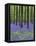 Belgium, Hallerbos, Beech Forest, Bluebells, Fern-Andreas Keil-Framed Premier Image Canvas