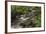 Belgium, High Fens, Hautes Fagnes, Tros Marets Brook-Andreas Keil-Framed Photographic Print