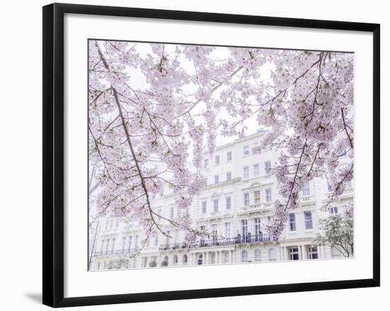 Belgravia Blooms-Assaf Frank-Framed Giclee Print