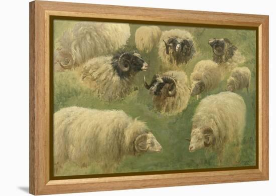 Béliers et moutons à tête noire, 10 esquisses-Rosa Bonheur-Framed Premier Image Canvas