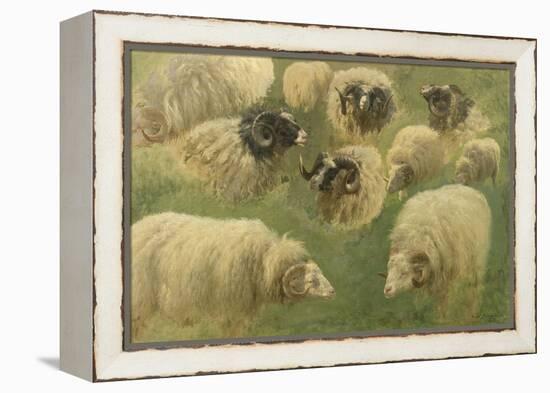 Béliers et moutons à tête noire, 10 esquisses-Rosa Bonheur-Framed Premier Image Canvas