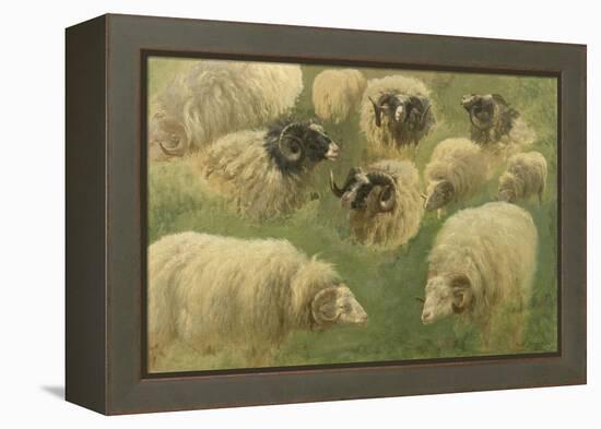 Béliers et moutons à tête noire, 10 esquisses-Rosa Bonheur-Framed Premier Image Canvas