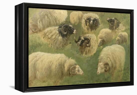 Béliers et moutons à tête noire, 10 esquisses-Rosa Bonheur-Framed Premier Image Canvas