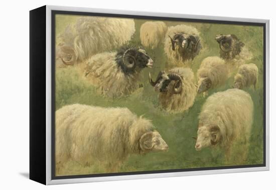 Béliers et moutons à tête noire, 10 esquisses-Rosa Bonheur-Framed Premier Image Canvas