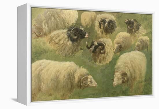 Béliers et moutons à tête noire, 10 esquisses-Rosa Bonheur-Framed Premier Image Canvas