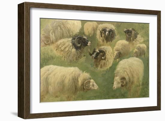 Béliers et moutons à tête noire, 10 esquisses-Rosa Bonheur-Framed Giclee Print