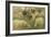 Béliers et moutons à tête noire, 10 esquisses-Rosa Bonheur-Framed Giclee Print