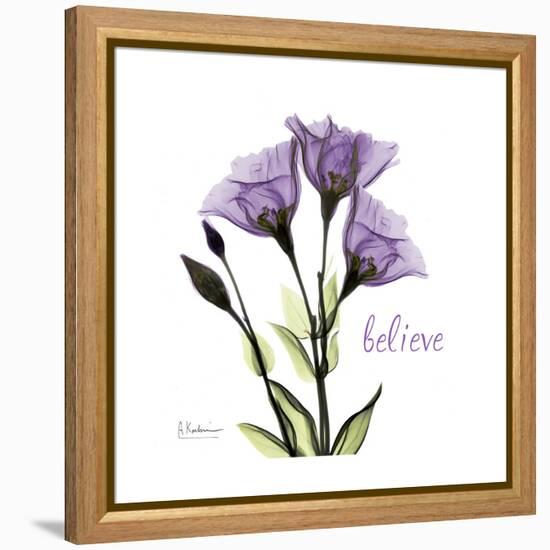 Believe Gentian-Albert Koetsier-Framed Stretched Canvas