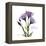 Believe Gentian-Albert Koetsier-Framed Stretched Canvas