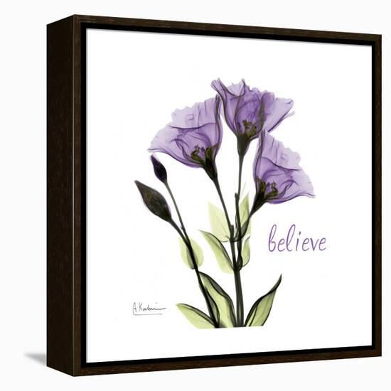 Believe Gentian-Albert Koetsier-Framed Stretched Canvas