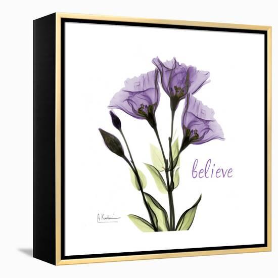 Believe Gentian-Albert Koetsier-Framed Stretched Canvas