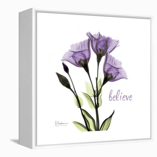 Believe Gentian-Albert Koetsier-Framed Stretched Canvas