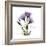 Believe Gentian-Albert Koetsier-Framed Premium Giclee Print