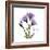 Believe Gentian-Albert Koetsier-Framed Premium Giclee Print