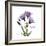 Believe Gentian-Albert Koetsier-Framed Premium Giclee Print