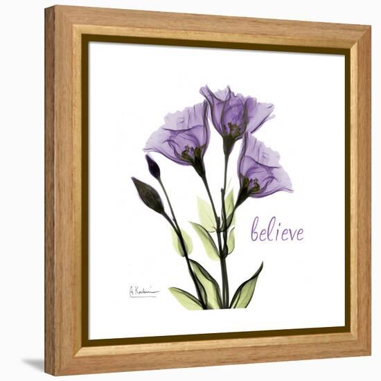 Believe Gentian-Albert Koetsier-Framed Stretched Canvas