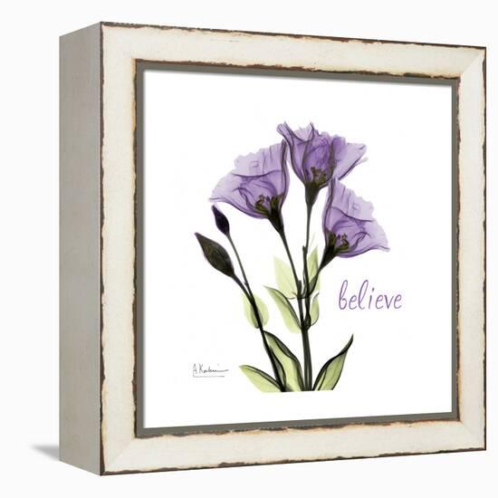 Believe Gentian-Albert Koetsier-Framed Stretched Canvas