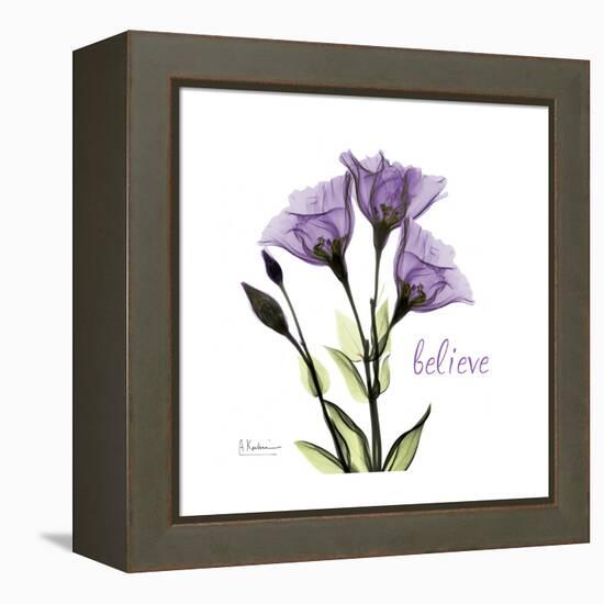 Believe Gentian-Albert Koetsier-Framed Stretched Canvas