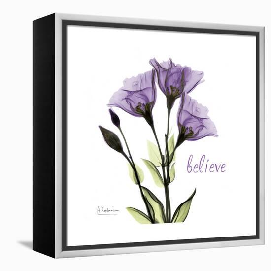 Believe Gentian-Albert Koetsier-Framed Stretched Canvas