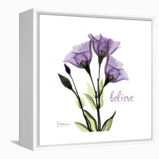 Believe Gentian-Albert Koetsier-Framed Stretched Canvas