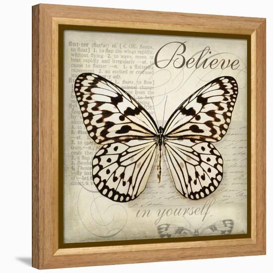 Believe in Yourself-Amy Melious-Framed Stretched Canvas