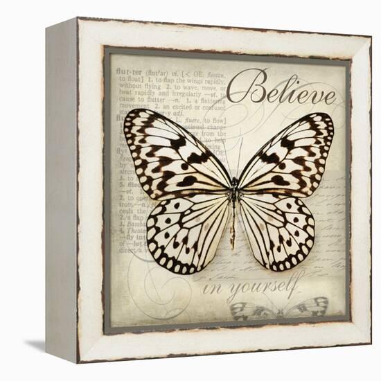 Believe in Yourself-Amy Melious-Framed Stretched Canvas