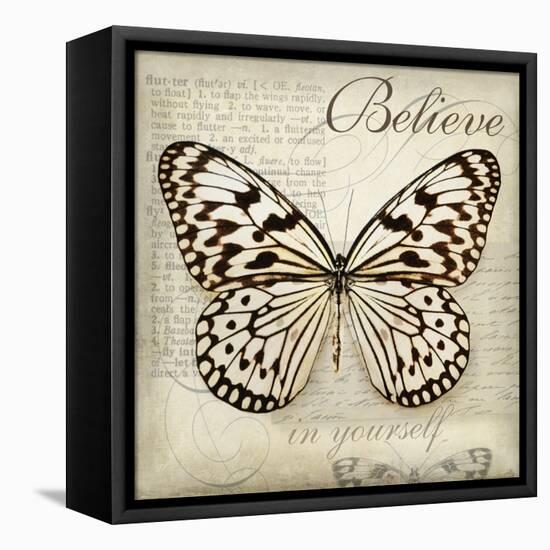 Believe in Yourself-Amy Melious-Framed Stretched Canvas