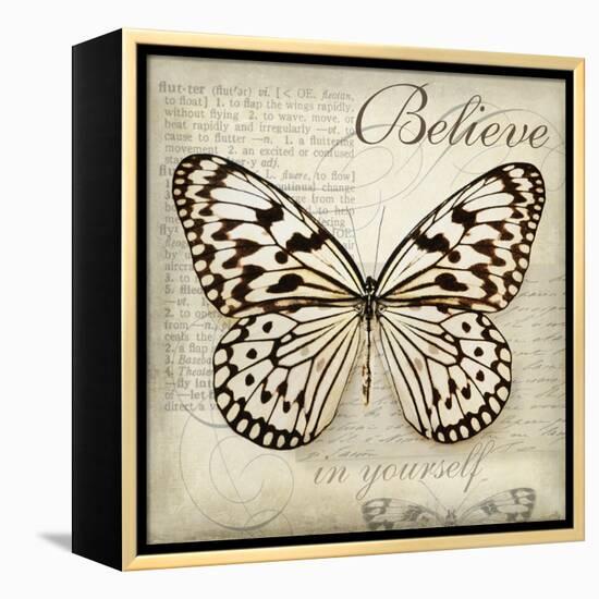 Believe in Yourself-Amy Melious-Framed Stretched Canvas