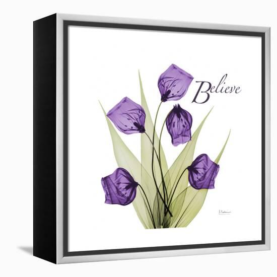 Believe-Albert Koetsier-Framed Stretched Canvas