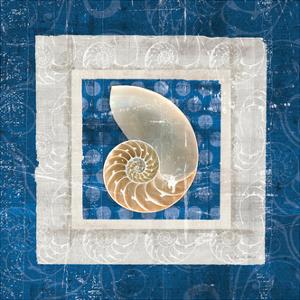 Sea Shell II on Blue by Belinda Aldrich