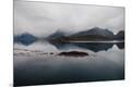 Photographic Print