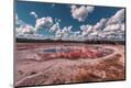 Photographic Print