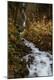 Photographic Print