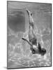 Belita Doing Underwater Ballet For a Movie-Walter Sanders-Mounted Photographic Print