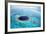 Belize Aerial of Belize Blue Hole-null-Framed Photographic Print