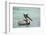 Belize, Ambergris Caye. Adult Brown Pelican floats on the Caribbean Sea.-Elizabeth Boehm-Framed Photographic Print