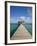 Belize, Ambergris Caye, San Pedro, Ramons Village Resort Pier and Palapa-Jane Sweeney-Framed Photographic Print