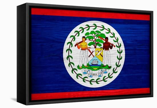 Belize Flag Design with Wood Patterning - Flags of the World Series-Philippe Hugonnard-Framed Stretched Canvas