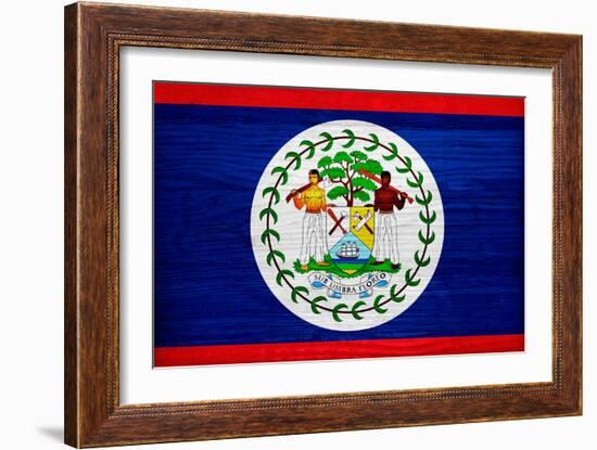 Belize Flag Design with Wood Patterning - Flags of the World Series-Philippe Hugonnard-Framed Art Print