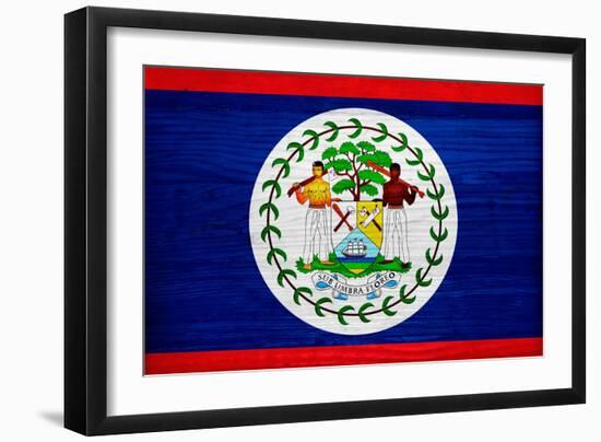 Belize Flag Design with Wood Patterning - Flags of the World Series-Philippe Hugonnard-Framed Art Print