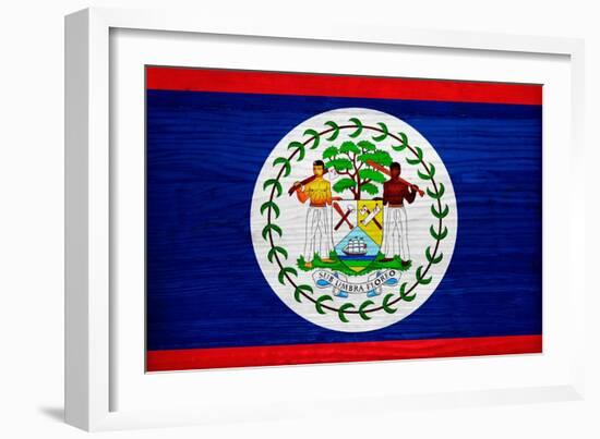 Belize Flag Design with Wood Patterning - Flags of the World Series-Philippe Hugonnard-Framed Art Print