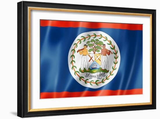 Belize Flag-daboost-Framed Art Print