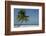 Belize. Goff Caye. Palm Tree and White Sand Beach-Cindy Miller Hopkins-Framed Photographic Print