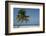 Belize. Goff Caye. Palm Tree and White Sand Beach-Cindy Miller Hopkins-Framed Photographic Print