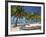 Belize, Laughing Bird Caye, Canoe Filled with Coconut Husks on Beach-Jane Sweeney-Framed Photographic Print