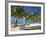 Belize, Laughing Bird Caye, Canoe Filled with Coconut Husks on Beach-Jane Sweeney-Framed Photographic Print